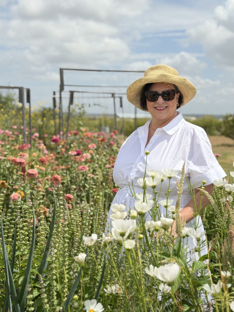 The Hill Country Bon Vivant standing in a field of zinnias